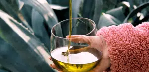 extravergine di oliva