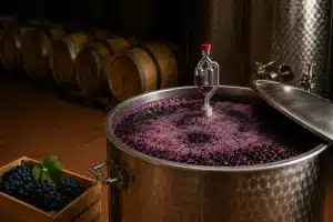 fermentazione alcolica del vino