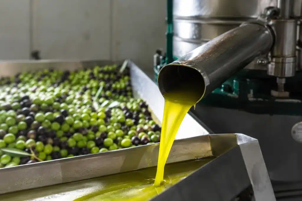 spremitura a freddo delle olive